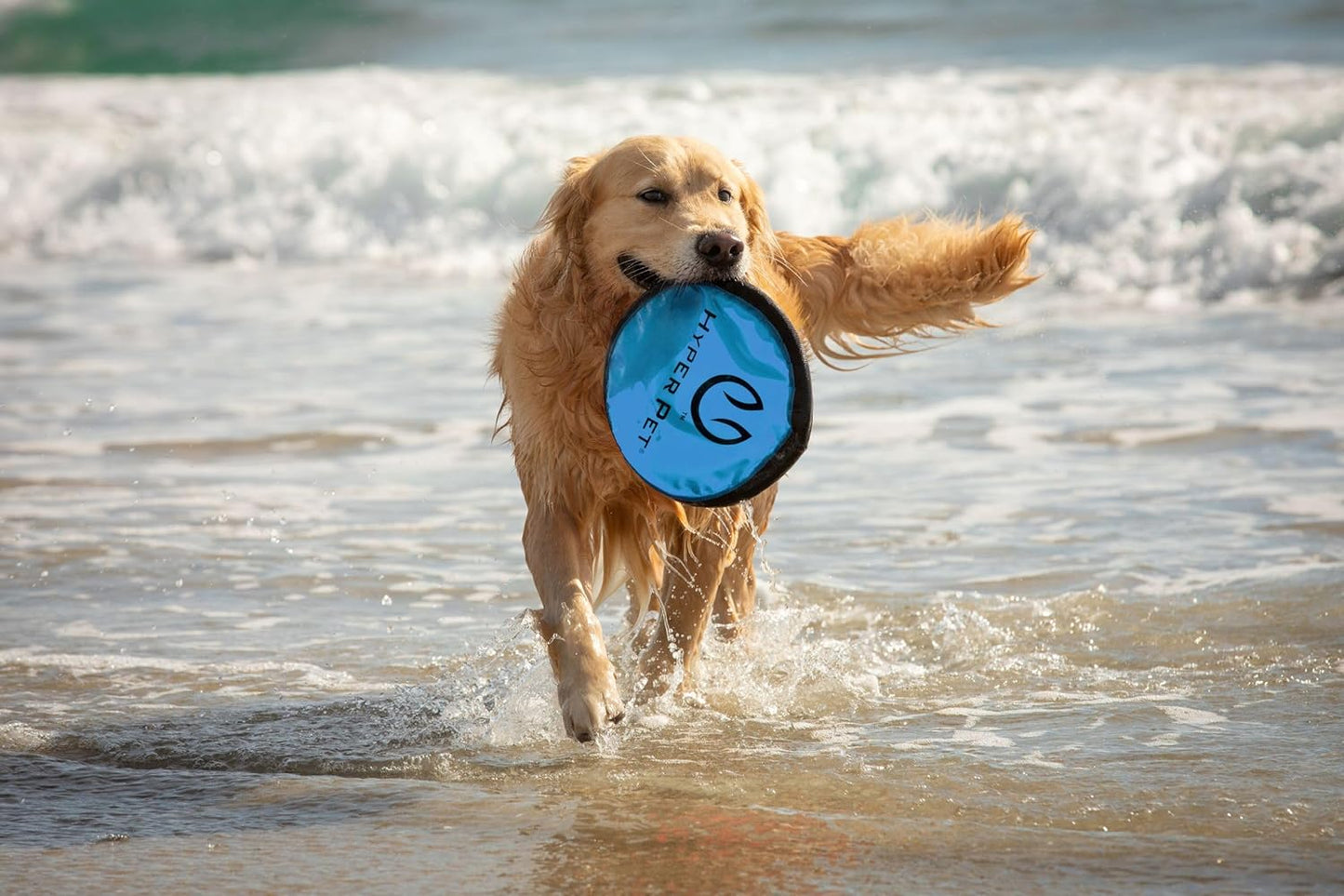 Flippy Flopper Flying Disc Soft Dog Toy 9 Inch, Floats, 5 Pack | Safe on Teeth for All Breeds, Stays on the Water Surface for Pool and Lake Fetch Games, Colors May Vary with Every Order