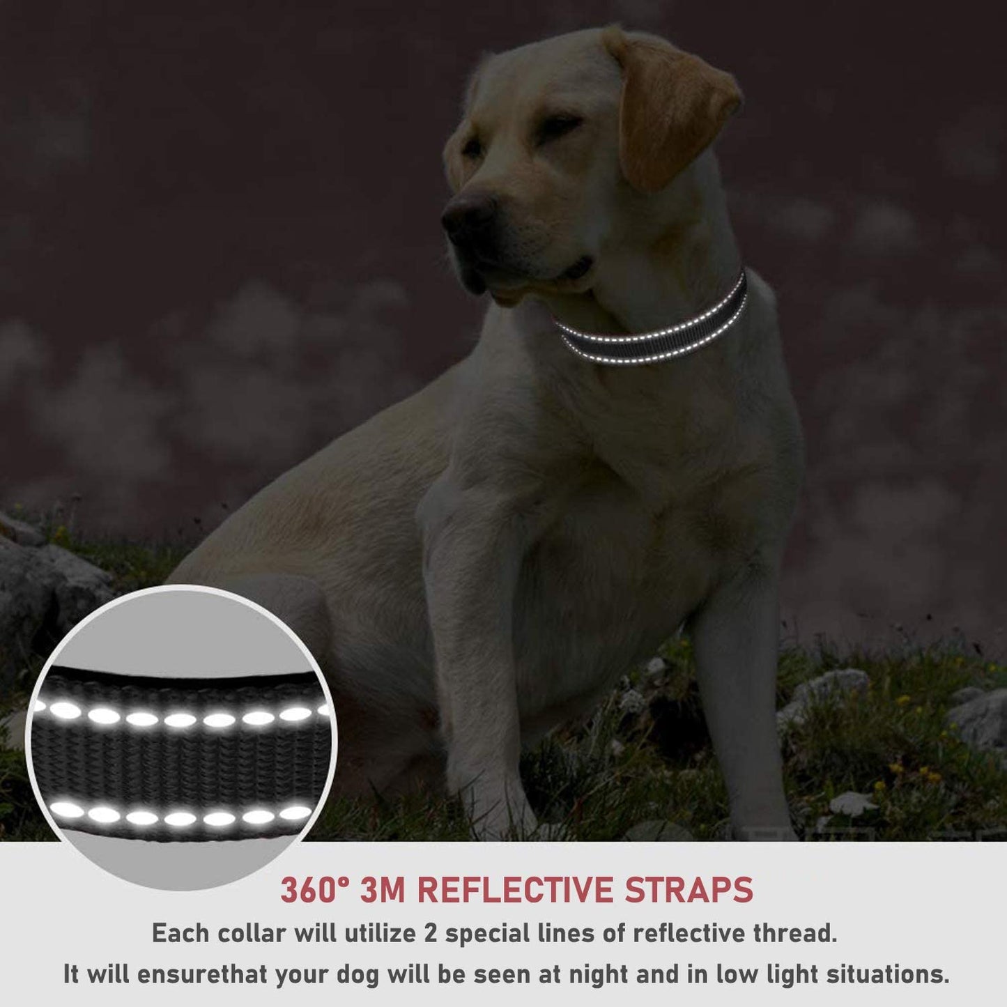 Reflective Dog Collar with Buckle Adjustable Safety Nylon Collars for Small Medium Large Dogs, Black S | Breathable, No Chafing on Walks and Outdoor Hikes, Metal D-Ring, Night Safety