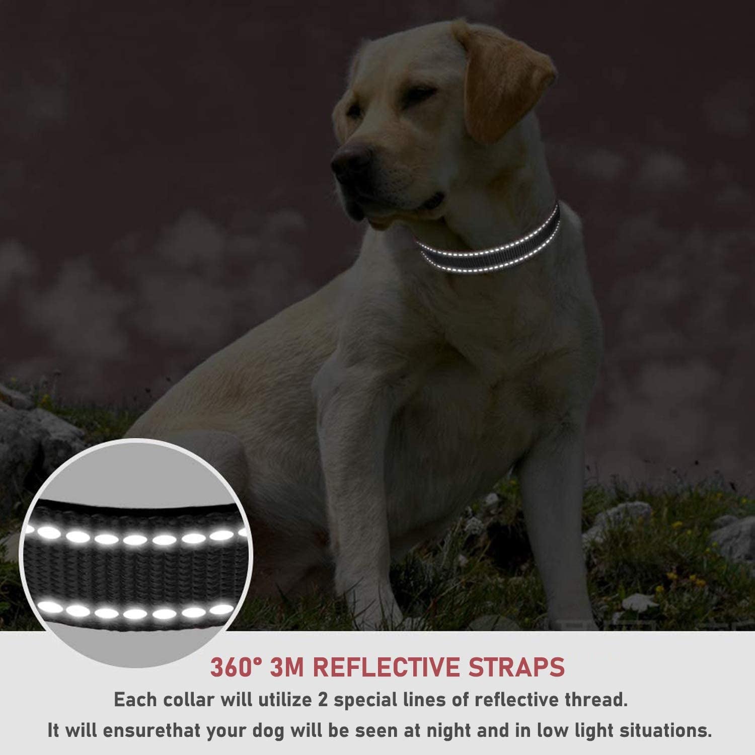 Reflective Dog Collar with Buckle Adjustable Safety Nylon Collars for Small Medium Large Dogs, Black S | Breathable, No Chafing on Walks and Outdoor Hikes, Metal D-Ring, Night Safety