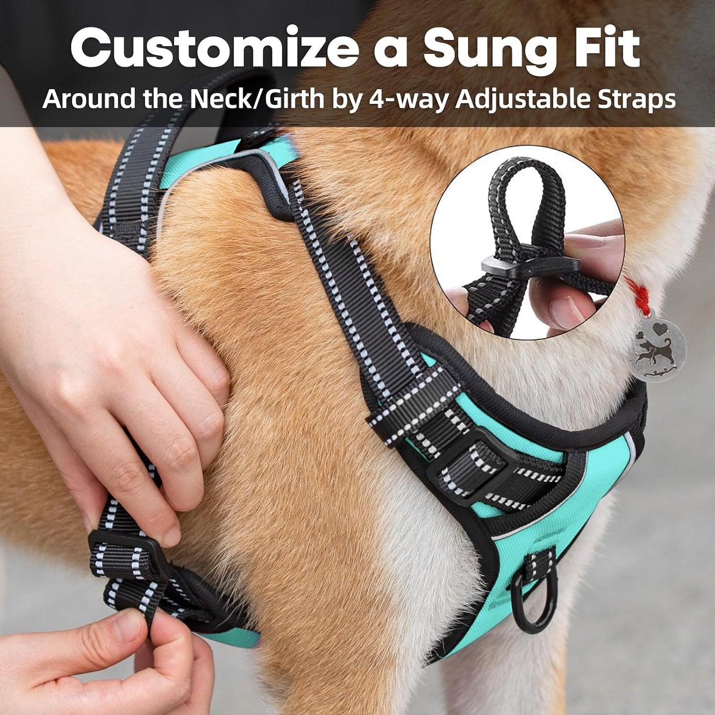 No Pull Dog Harness Medium, Reflective Vest with Front Clip & Handle | Easy On/Off, No Choke, Adjustable, 2 Leash D-Rings, Soft Padded, Breathable, Oxford, for Walking Training, M, Mint Blue