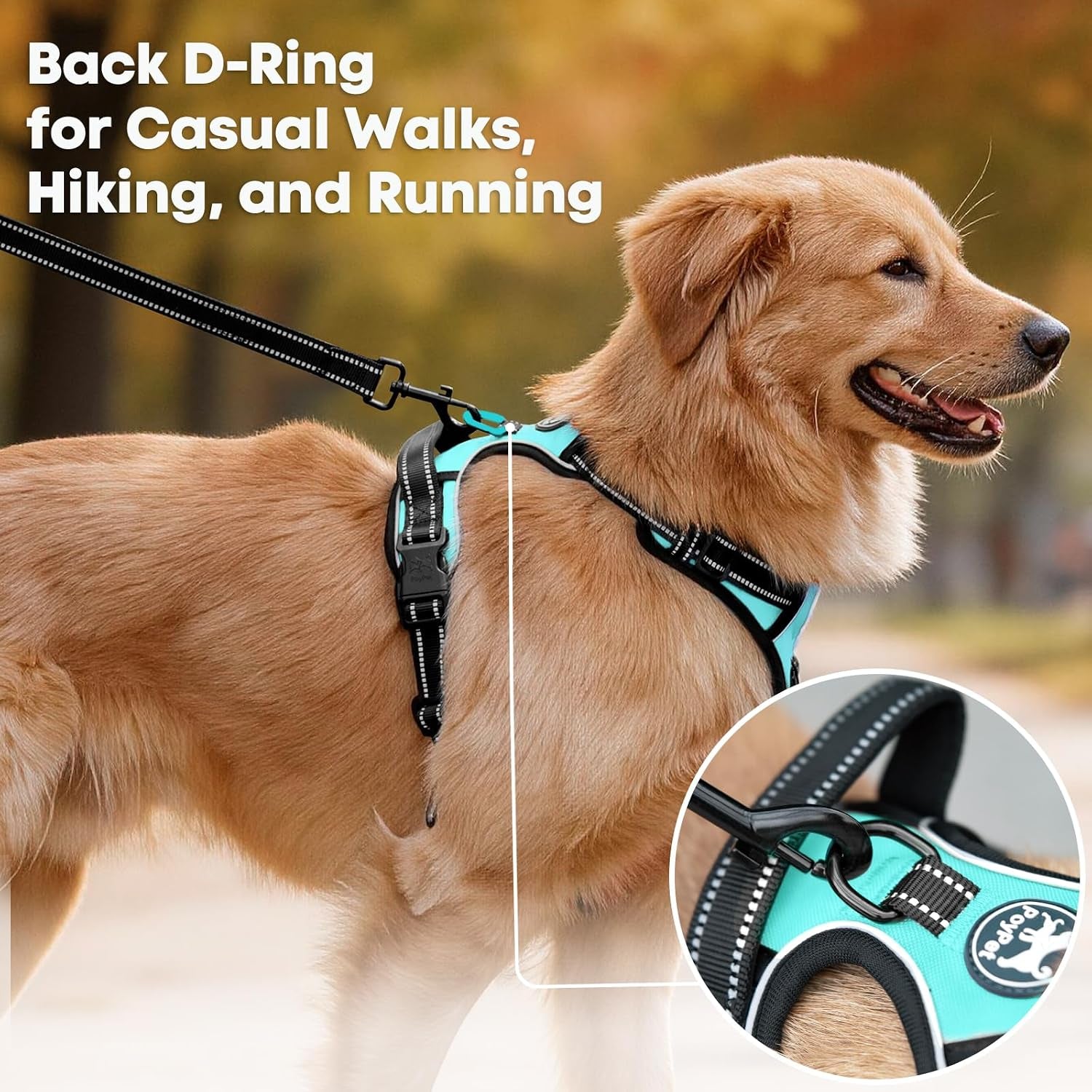 No Pull Dog Harness Medium, Reflective Vest with Front Clip & Handle | Easy On/Off, No Choke, Adjustable, 2 Leash D-Rings, Soft Padded, Breathable, Oxford, for Walking Training, M, Mint Blue