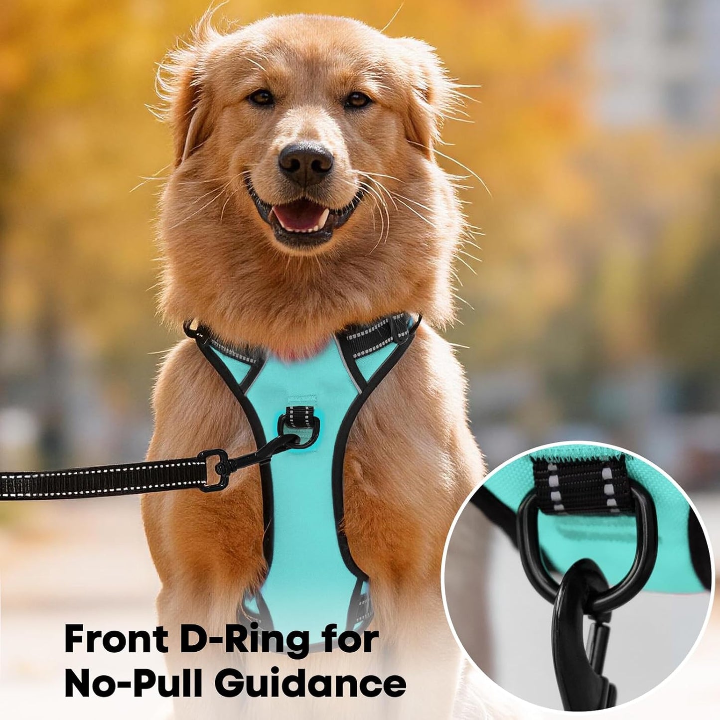 No Pull Dog Harness Medium, Reflective Vest with Front Clip & Handle | Easy On/Off, No Choke, Adjustable, 2 Leash D-Rings, Soft Padded, Breathable, Oxford, for Walking Training, M, Mint Blue