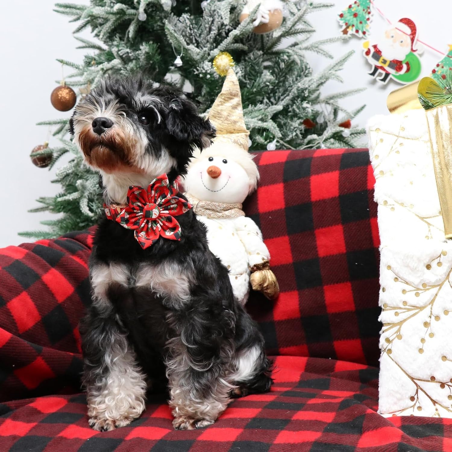 Christmas Dog Collar with Flower, Christmas Flower Collar for Puppy Girl Boy Dog or Cat, Comfortable Dog Collar Flower with Durable Metal Buckle, Cute Pet Collar, M