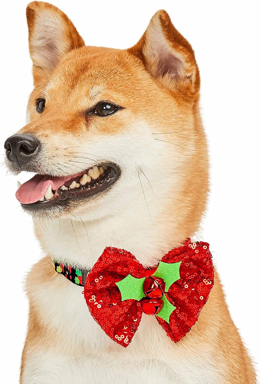 Christmas Holly Dog Collar with Bowtie, Small Adjustable 12"-16" Neck, Holiday Collar for Small Dogs