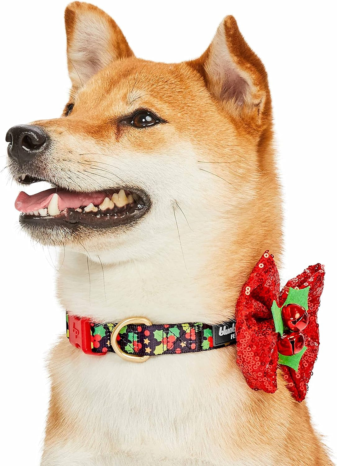 Christmas Holly Dog Collar with Bowtie, Small Adjustable 12"-16" Neck, Holiday Collar for Small Dogs