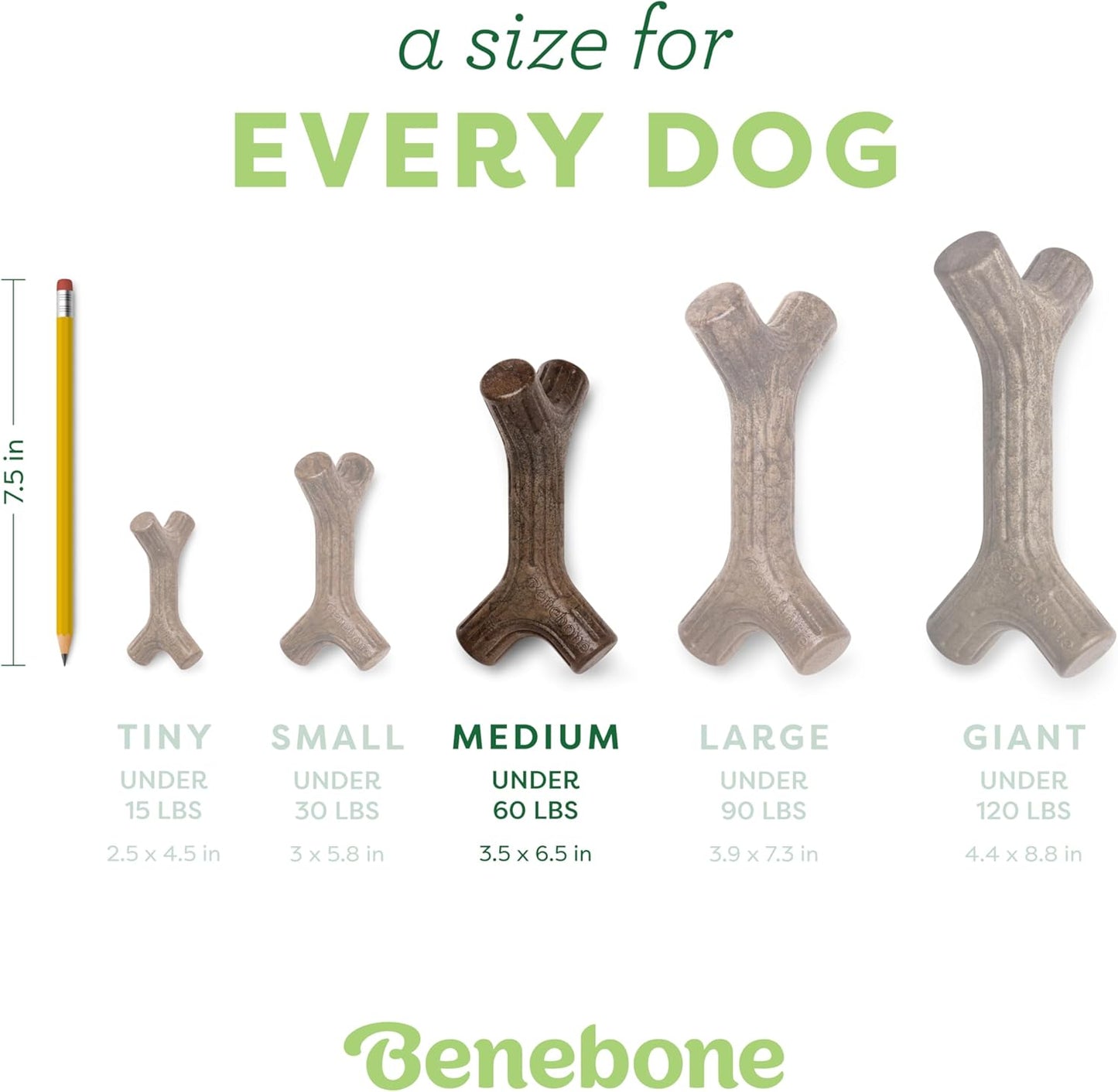Maplestick Real Wood Durable Dog Chew Toy, Made in USA, Medium | Durable, Made in USA, Dog Bones, Long-Lasting, a Size for Every Dog, Keeps Them Busy